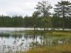 Björntjärn