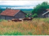 Landskapsvy